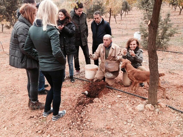 Salida cbúsqueda trufa negra con perros en actividad trufiturismo de La Casa de Los Moyas casa rural en Olba Teruel